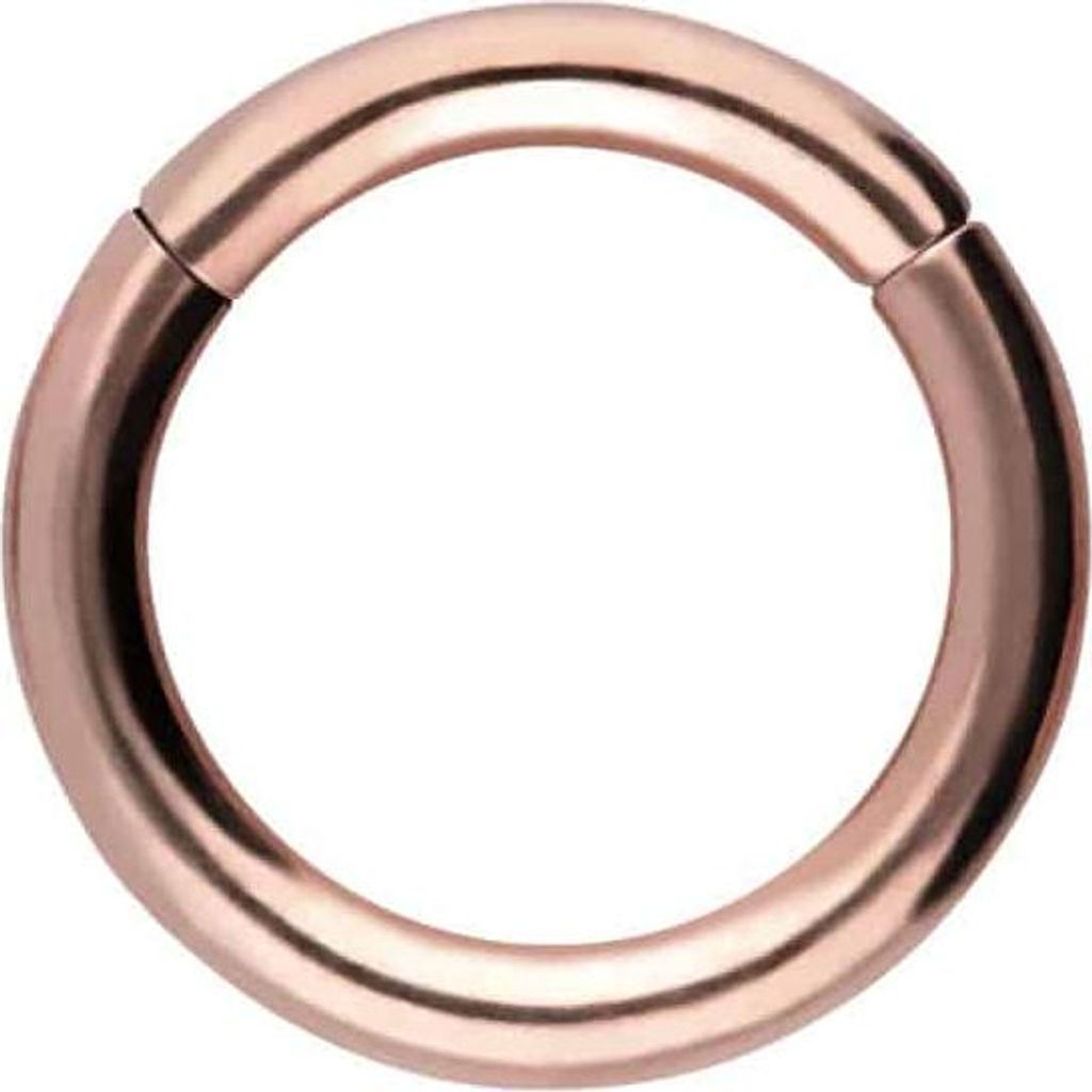 Ohrpiercing, Nasenpiercing, Septum Piercing Titan Segmentring Clicker RoséGold Innendurchmesser: 8mm + Stabstärke: 1,6mm