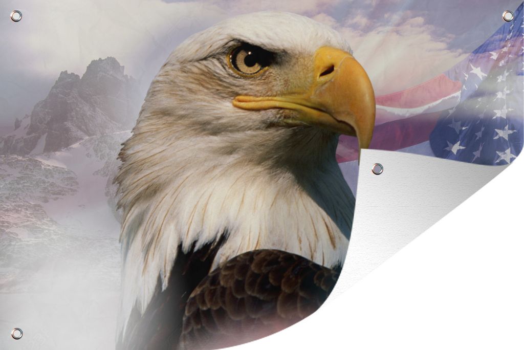 MuchoWow 120x80 cm Outdoor-Poster Gartendeko Sichtschutz Garten Poster für den Garten Ein amerikanischer Weißkopfseeadler mit einer amerikanis...