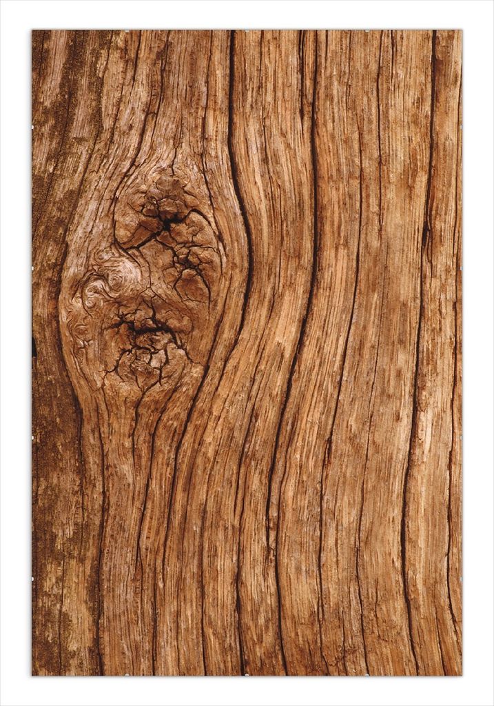 Wallario Wandbild Holzstamm mit Asteinschluss, Größe: 61 x Produktbild 