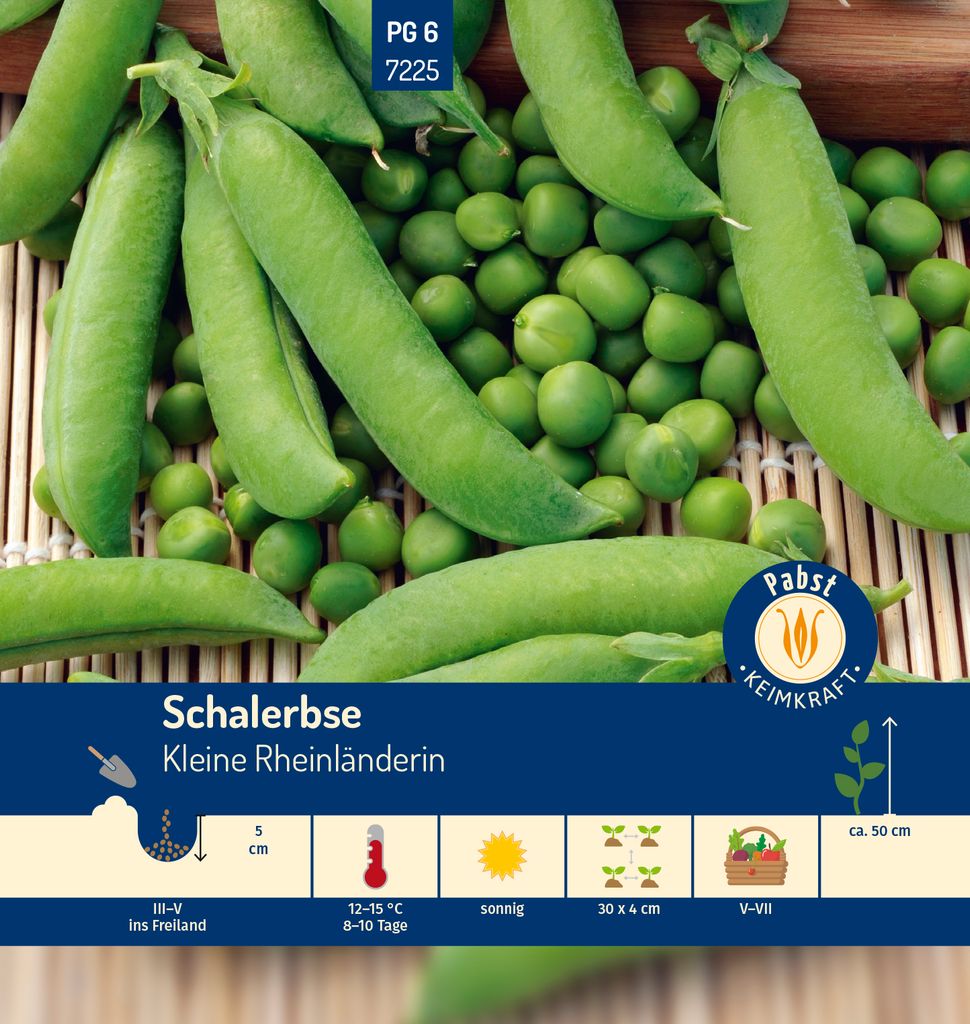 Pabst Keimkraft - Schalerbse sehr früh & süß Kleine Produktbild 