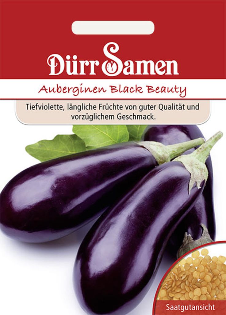 Dürr-Samen - Auberginen Black Beauty - Saatgut - 0553 Produktbild 