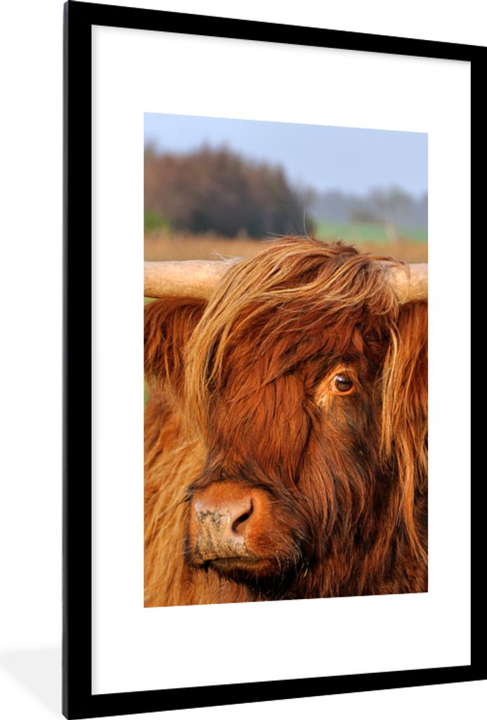 MuchoWow Gerahmtes Poster Schottischer Highlander - Gras - Baum 60x90 cm - Poster mit Schwarzem Bilderrahmen Wandposter Rahmen Foto Bilder - Deko...