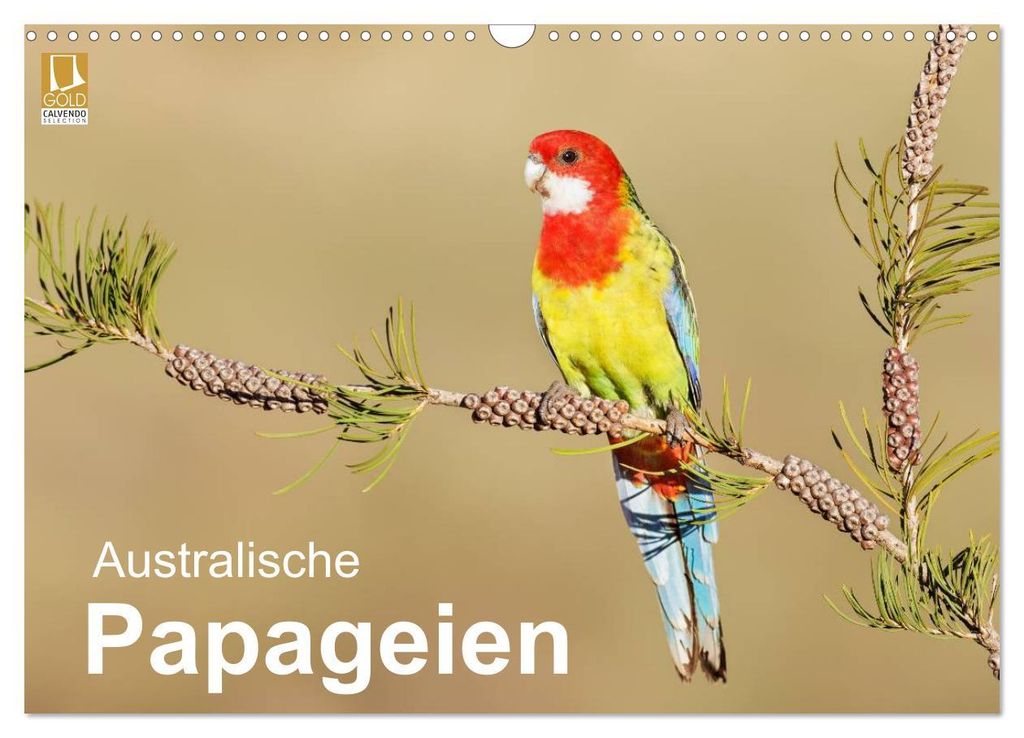 Australische Papageien (Wandkalender 2027 DIN A3 quer), CALVENDO Monatskalender