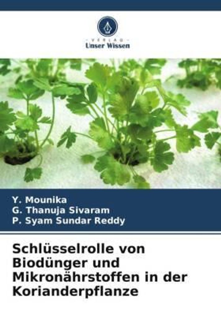 Schlüsselrolle von Biodünger und Mikronährstoffen in der Korianderpflanze