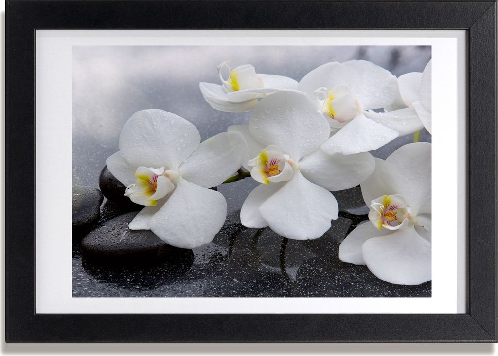 Bild 30x20 MDF-Rahmen, Wandkunst Orchidee