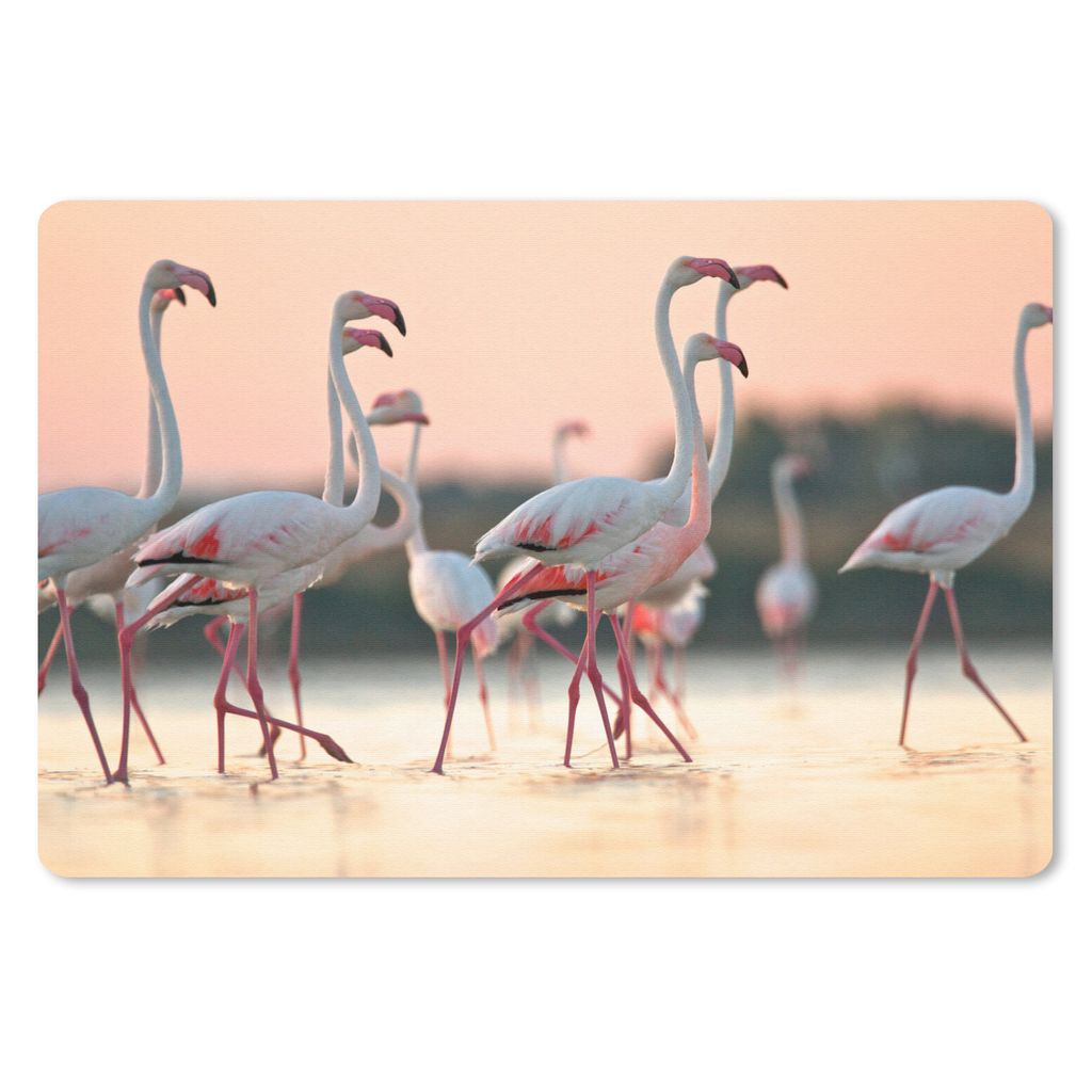 MuchoWow Mauspad Mousepad Gruppe von Flamingos bei Sonnenuntergang in Italien 27x18 cm - Mousepads - Maus Mat - Pad - Mausunterlage - Büroartike...