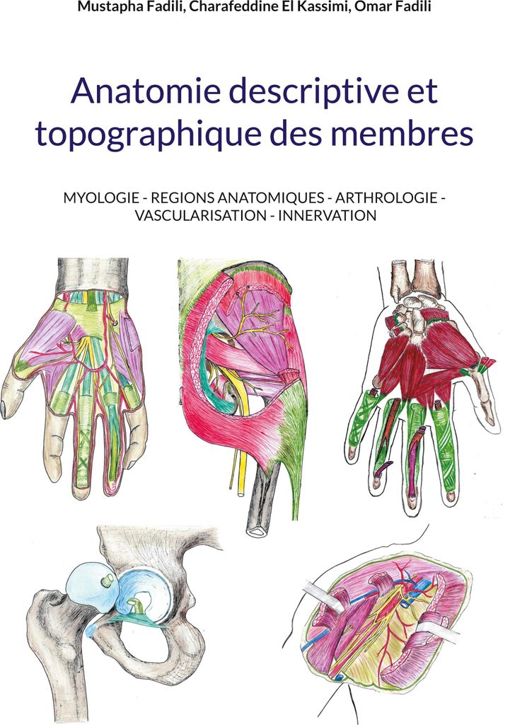 Anatomie descriptive et topographique des membres