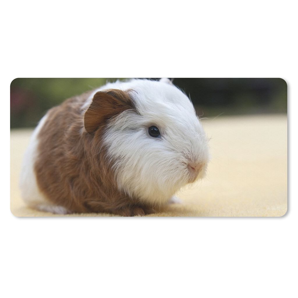 MuchoWow Schreibtischunterlage Junges Meerschweinchen 80x40 cm - XXL Mauspad - Gaming Mauspad