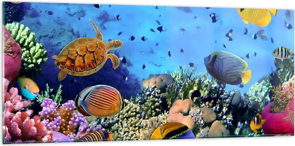 Bilder auf glas - Korallenriff - 120x50cm - Glasbilder - Wandbilder - Kunstdruck - zum Aufhängen bereit - Wanddekoration aus Glas - Glas Bilder - ...