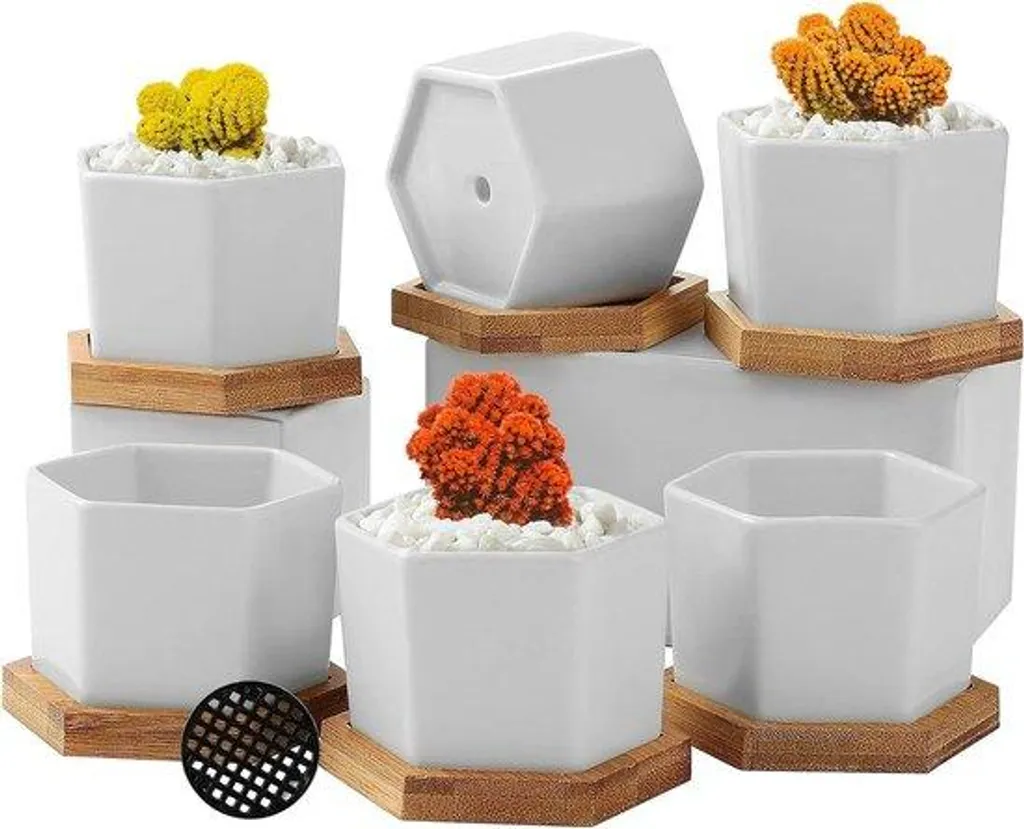 6 pots succulents en céramique blanche hexagonale et plateau de bambou