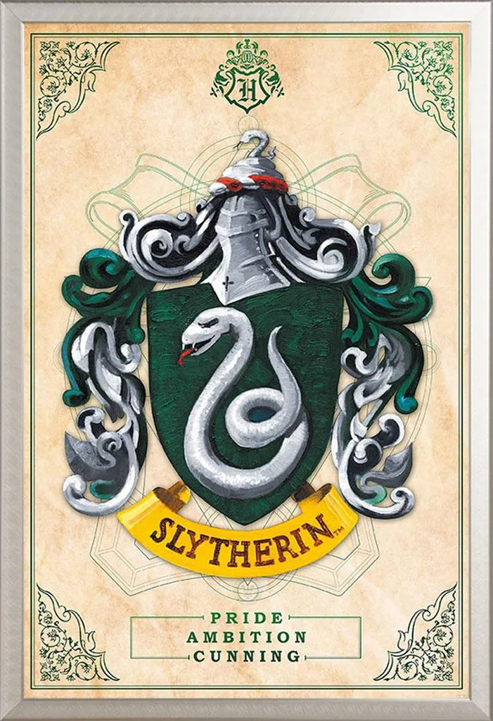 Set Serpeverde: Maxi Poster Harry Potter + Cornice Alluminio Shinsuke 91,5x61