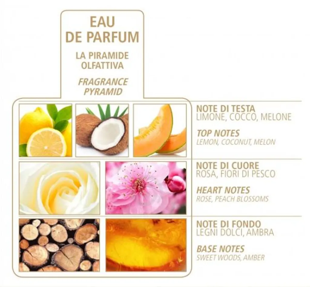 Solution Recharge Parfum La Rosa 500 ml pour Diffuseur Vide ou Faible