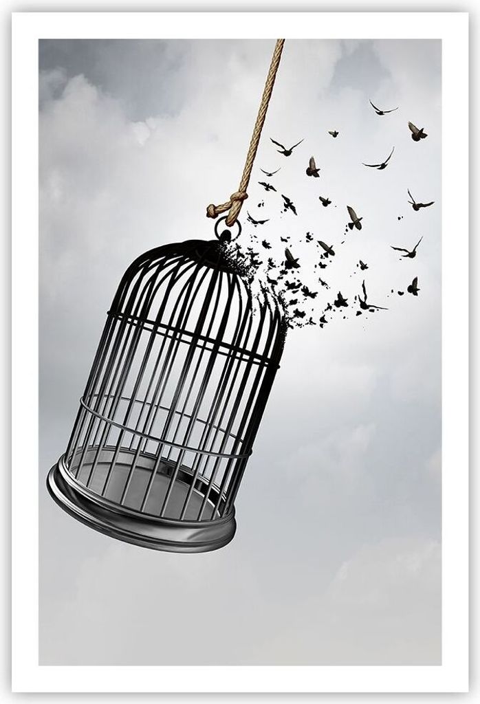 Poster - Poster ohne Rahmen - Freiheit Käfig Vögel - 61x91,5 cm - Wand Bild - Wanddeko - Wandbilder - Kunstposter - Wandposter - Bilder - Kunstdr...