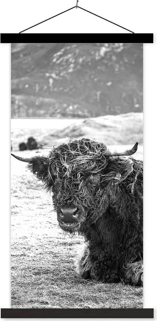 MuchoWow Textilposter Schottisches Hochlandrind - Berg - Tiere 60x120 cm mit schwarzem Rahmen - Magnete