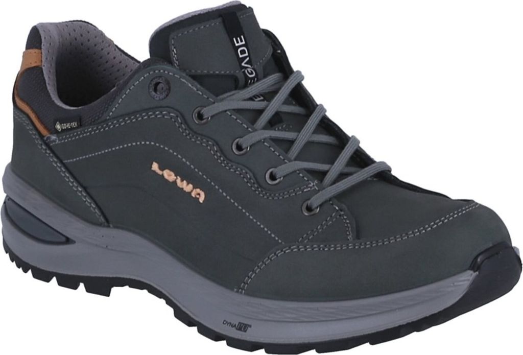 Chaussures Lowa Renegade Evo Lo Gtx 3218679675 Image du produit 