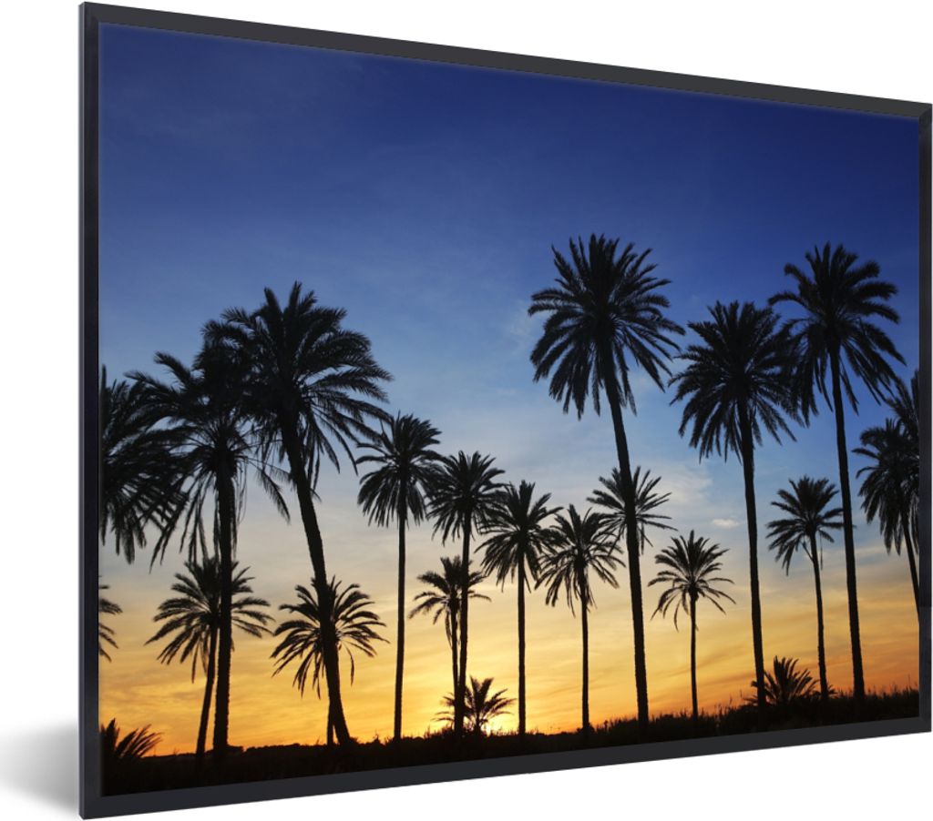 MuchoWow Gerahmtes Poster Palme - Natur - Strand - Sonne - Nacht 80x60 cm - Poster mit Schwarzem Bilderrahmen Wandposter Rahmen Foto Bilder - Sch...