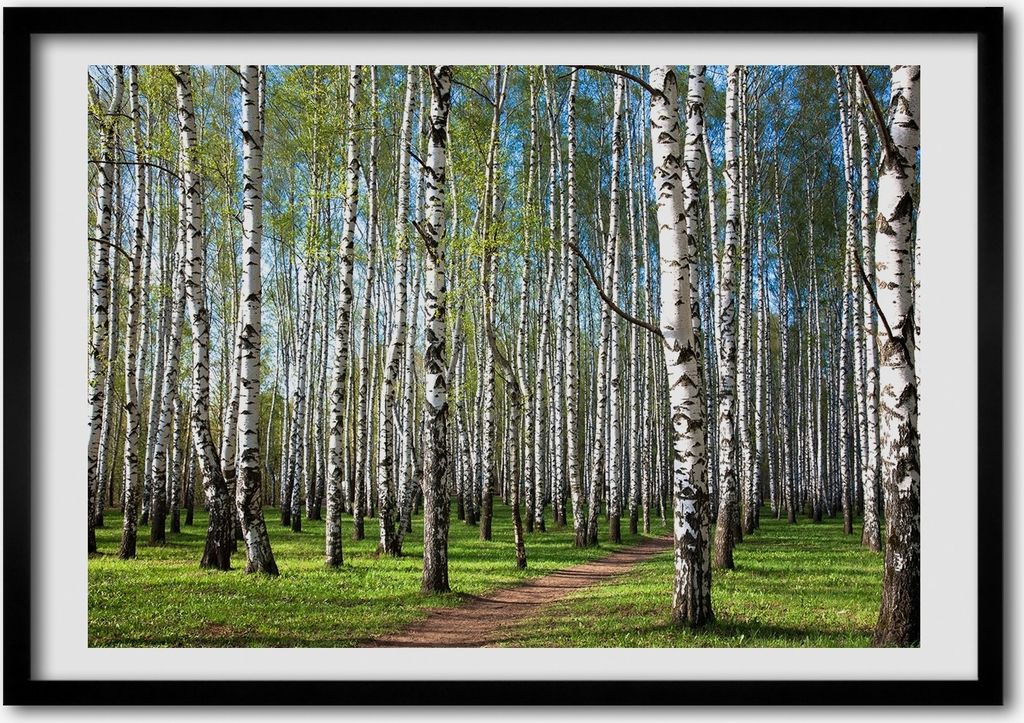 Bild - Bilderrahmen - 100 cm x 70 cm - MDF - Rahmen - Foto Produktbild 