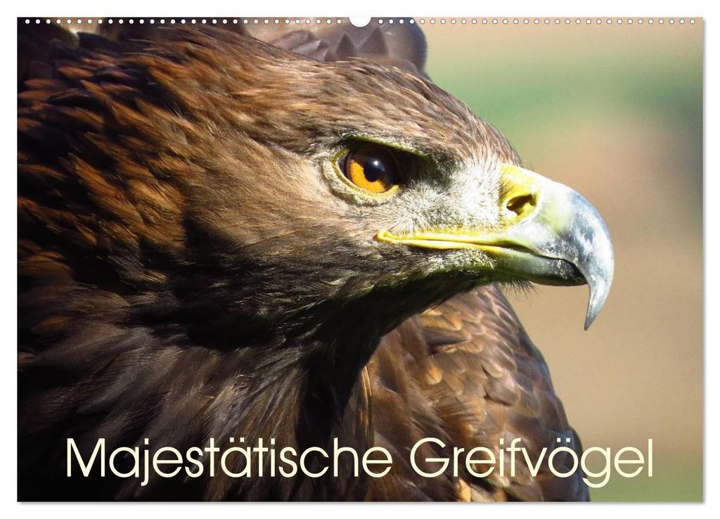 Majestätische Greifvögel (Wandkalender 2027 DIN A2 quer), CALVENDO Monatskalender