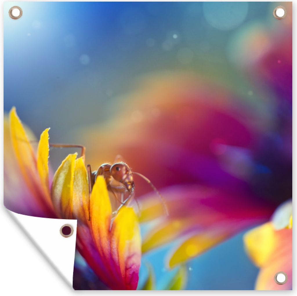 MuchoWow 50x50 cm Outdoor-Poster Gartendeko Sichtschutz Garten Poster für den Garten Ameise - Blumen - Regenbogen