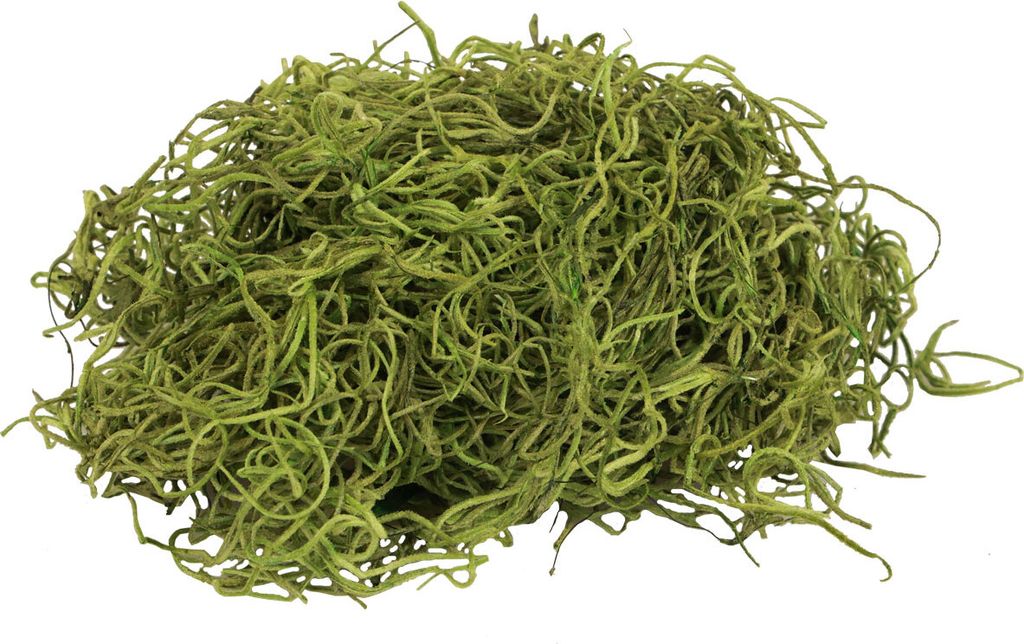 Deko Moos getrocknet naturnah Waldmoos Grün Naturdeko Bastelmoos 300g für Herbstdeko und Weihnachtsdeko