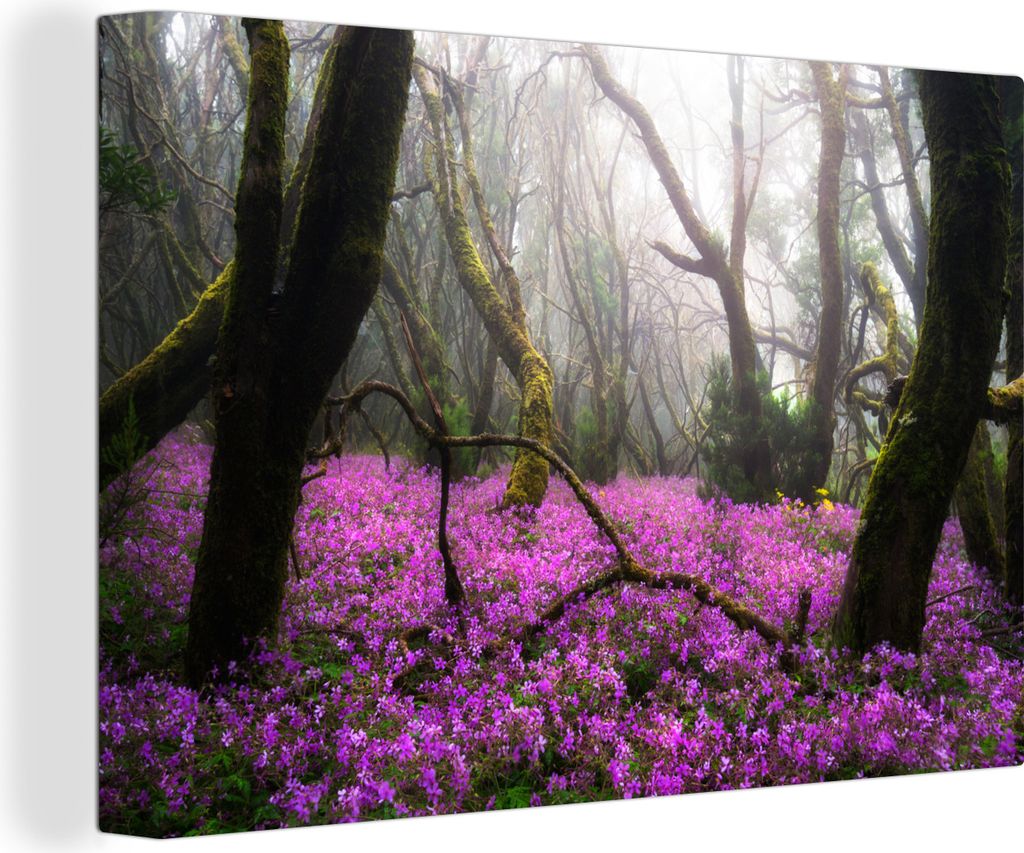 OneMillionCanvasses - Leinwandbilder - 140x90 cm, Leuchtend rosa Blumen im Garajonay-Nationalpark in Spanien, Wandbilder Kunstdruck Wanddekoratio...