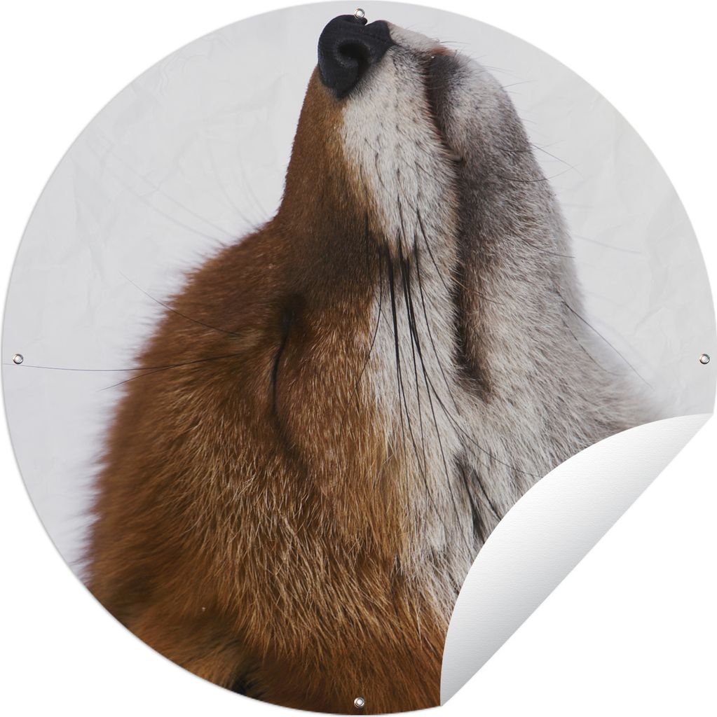 MuchoWow Gartenposter Outdoor-Poster Rund Fuchs - Nase - Weiß Ø 60 cm Gartendeko Rundes Poster draußen