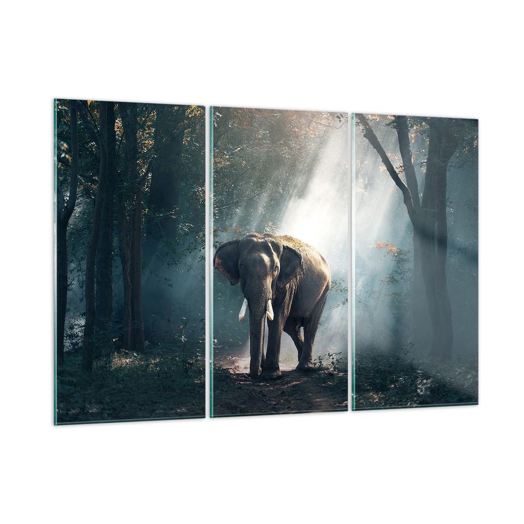 Bilder auf glas - elefant natur - 165x110cm - Glasbilder - Wandbilder - Kunstdruck - zum Aufhängen bereit - Wanddekoration aus Glas - Glas Bilder ...