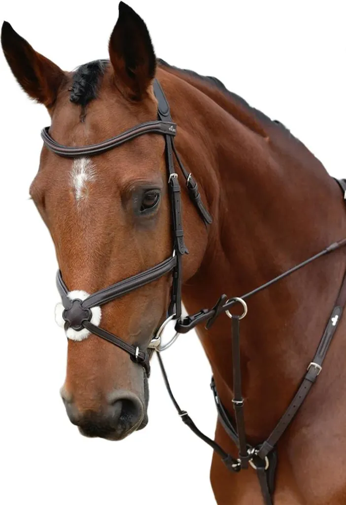 Bridon Grackle Collegiate en cuir WB2414 Cob Marron foncé pour cheval