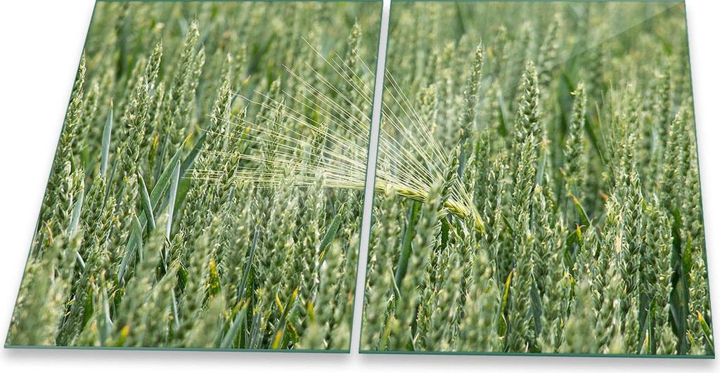Herdabdeckplatte Glaskeramik 2-Teilig 2x40x52 Natur Grün Abdeckung Spritzschutz Glas