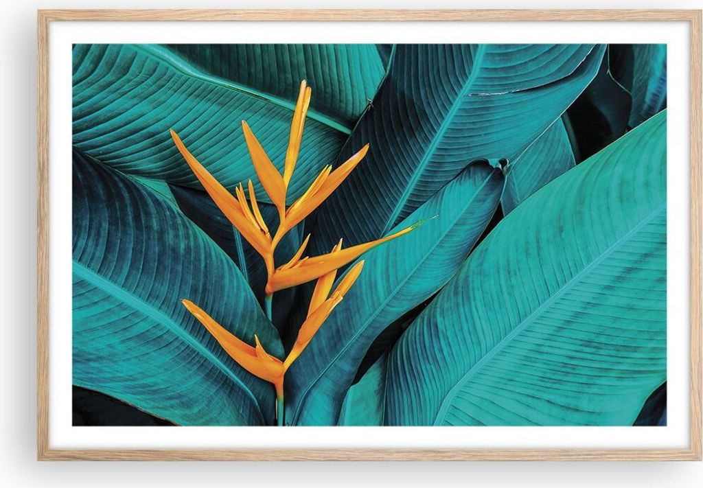 Gerahmtes Poster - Rahmen in heller Eiche - Blumen Tropen Blätter - 91,5x61 cm - Wand Bild - Wanddeko - Wandbilder - Kunstposter - Wandposter - Bi...