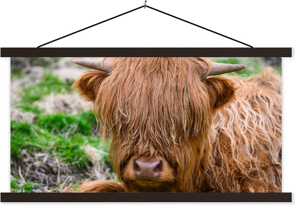 MuchoWow Textilposter Schottisches Hochlandrind - Heu - Gras 150x75 cm mit schwarzem Rahmen - Posterleiste