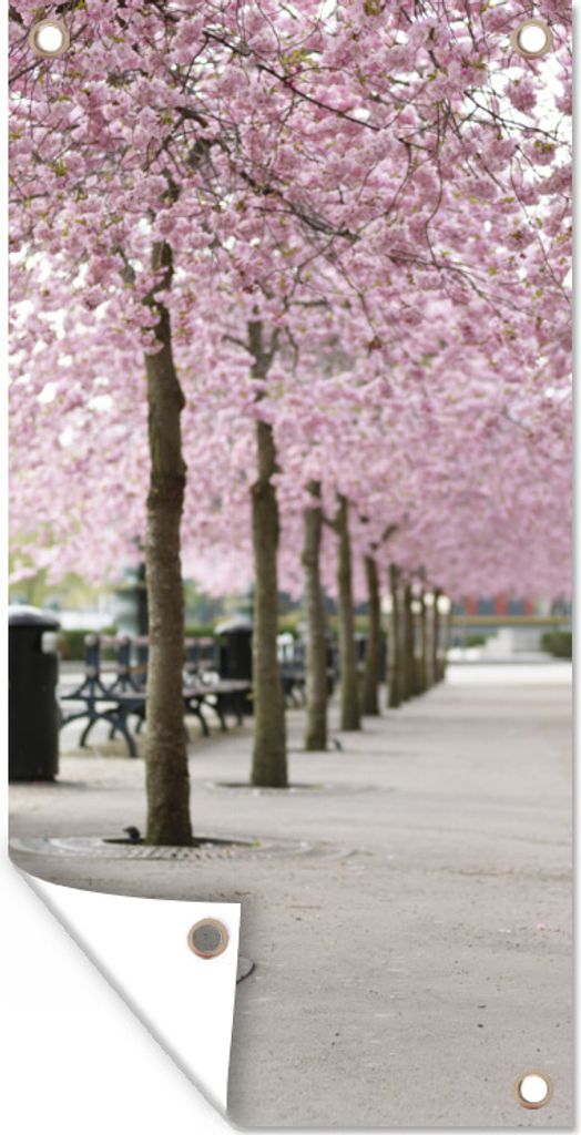 MuchoWow 40x80 cm Outdoor-Poster Gartendeko Sichtschutz Garten Poster für den Garten Frühling - Sakura - Bäume