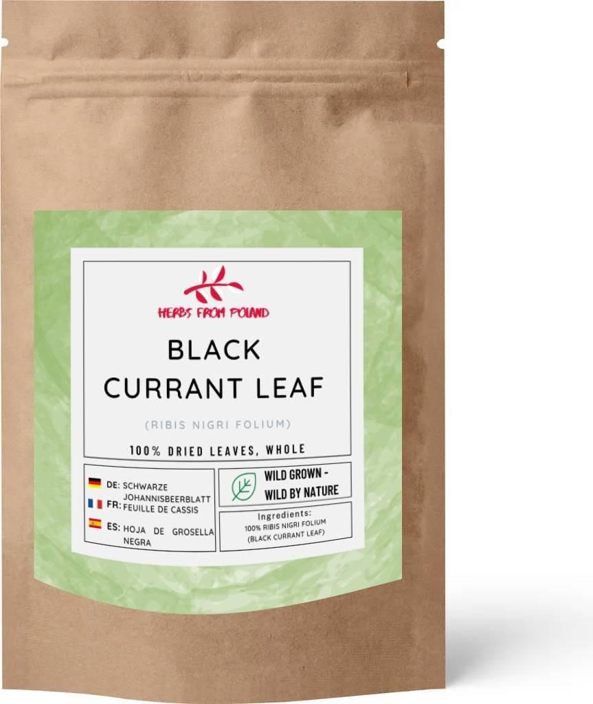 Herbs from Poland Schwarze Johannisbeerblätter – Produktbild 