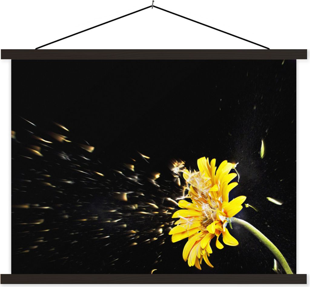 MuchoWow Textilposter Eine orangefarbene Gerbera-Blüte auf schwarzem Hintergrund abgebildet 60x45 cm mit schwarzem Rahmen - Poster Schlafzimmer
