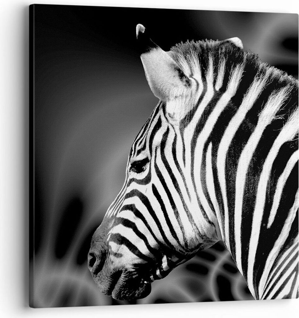 Bild auf Leinwand - Leinwandbild - Tier Zebra Streifen - 40x40cm - Wand Bild - Wanddeko - Wandbilder - Leinwanddruck - Bilder - Kunstdruck - Wandde...