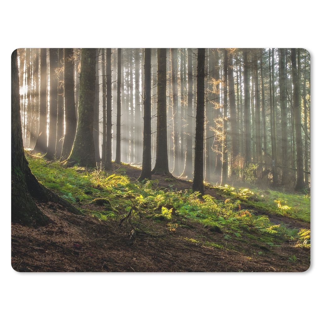 MuchoWow Mauspad Mousepad Sonne - Äste - Bäume - Wald - Natur 40x30 cm - Mousepads - Maus Mat - Pad - Mausunterlage - Anti Rutsch