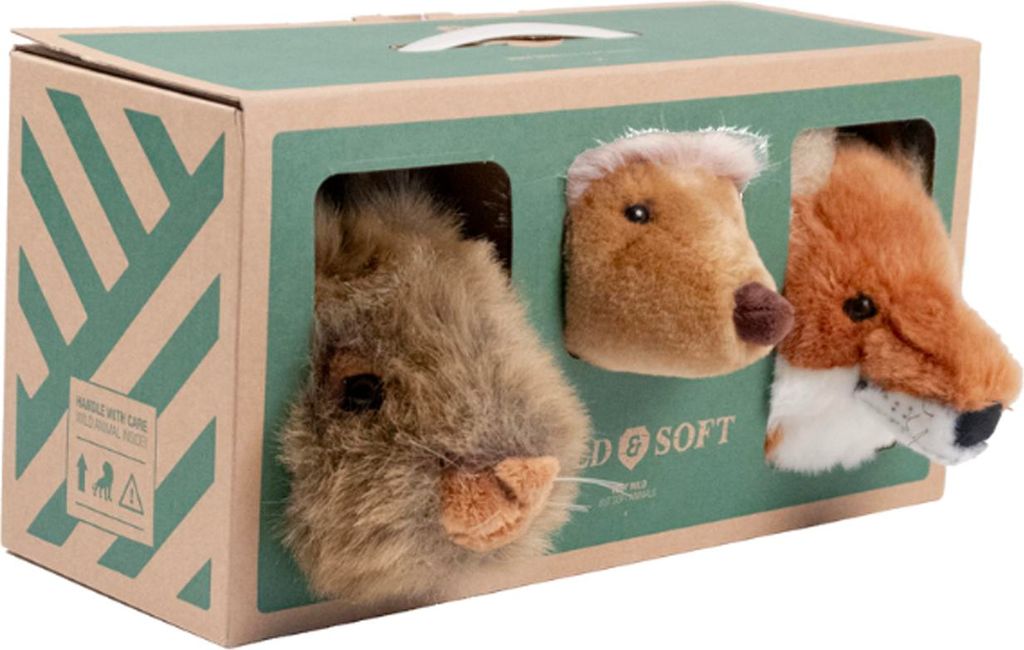 Wild & Soft Forest Giftbox | Zubehör Jugendzimmer Produktbild 