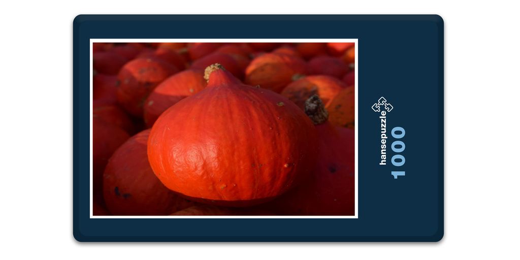 hansepuzzle 11663 - Kürbis Puzzle, 1000 Teile, Ernährung, 60,0 x 46,0cm mit hochwertiger Aufbewahrung, Kartonbox und wiederverschließbarem Beutel