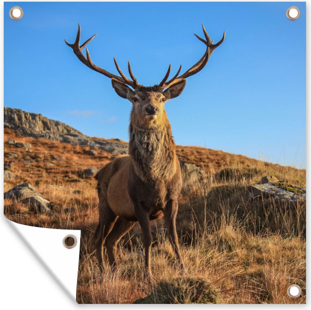 MuchoWow 100x100 cm Outdoor-Poster Gartendeko Sichtschutz Garten Poster für den Garten Elch auf einem Berg