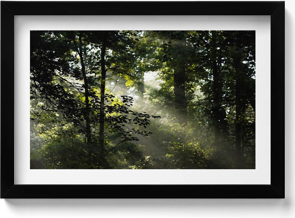 Sonnenstrahlen und Bäume– Wandbild mit Rahmen – Gerahmtes Bild – Wanddekoration – 30x20 cm – Schwarz Rahmen