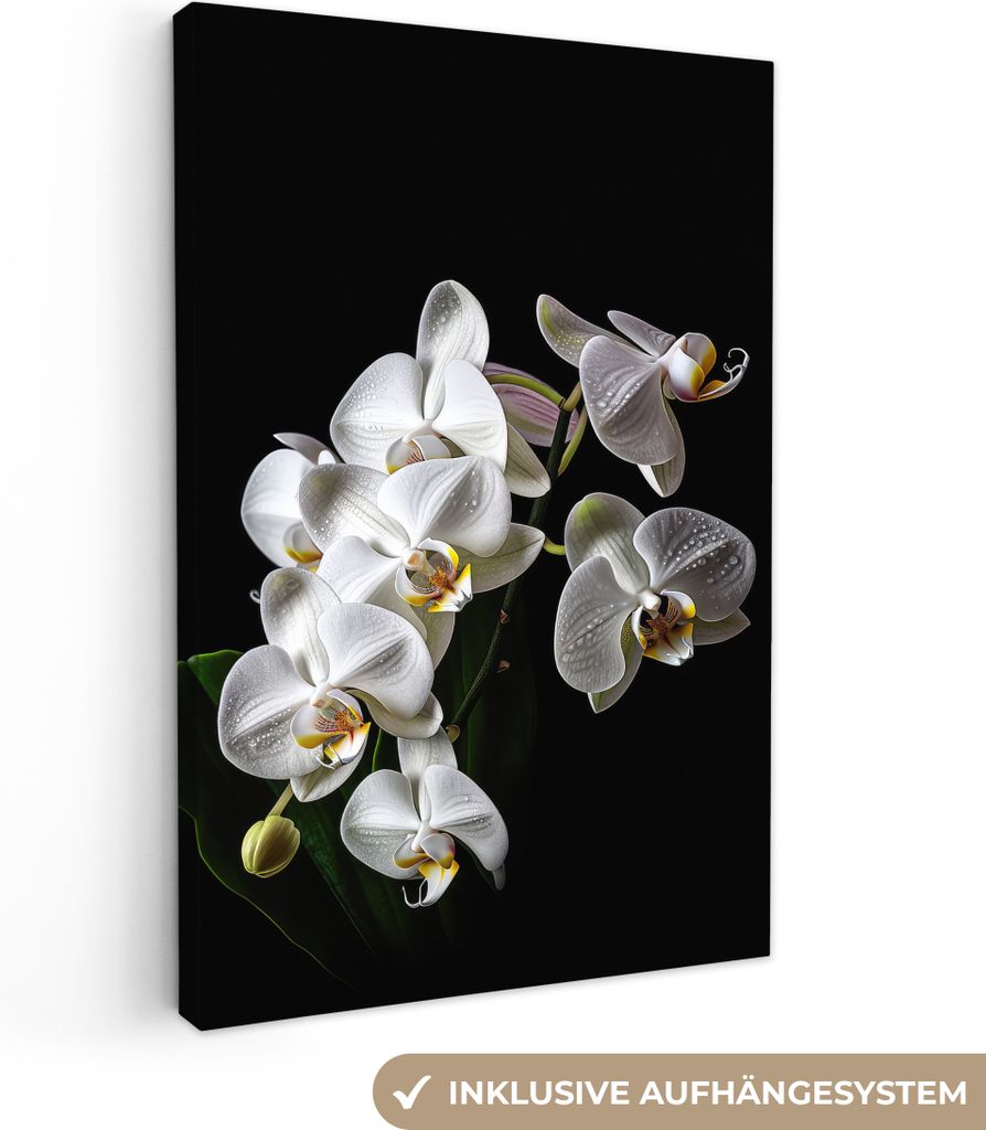 MuchoWow - Leinwandbilder - Orchidee - Blumen - Weiß - Natur - Schwarz, Wandbild, Wanddeko Bilder Wohnzimmer, 60x90 cm