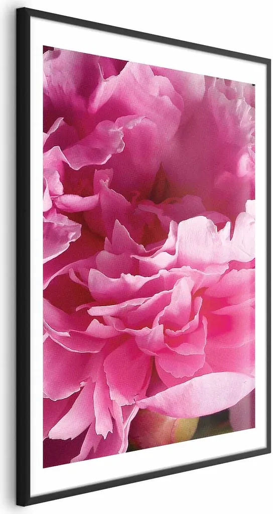 Poster Artistico Belle Peonie 60x90 Cornice Nera Passepartout Bianco