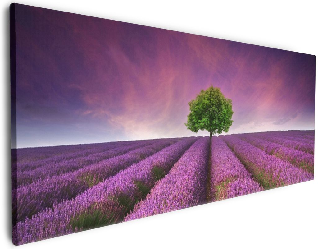 Wallario Premium Leinwandbild Lila Blumenfeld in Größe 50 x 125 cm