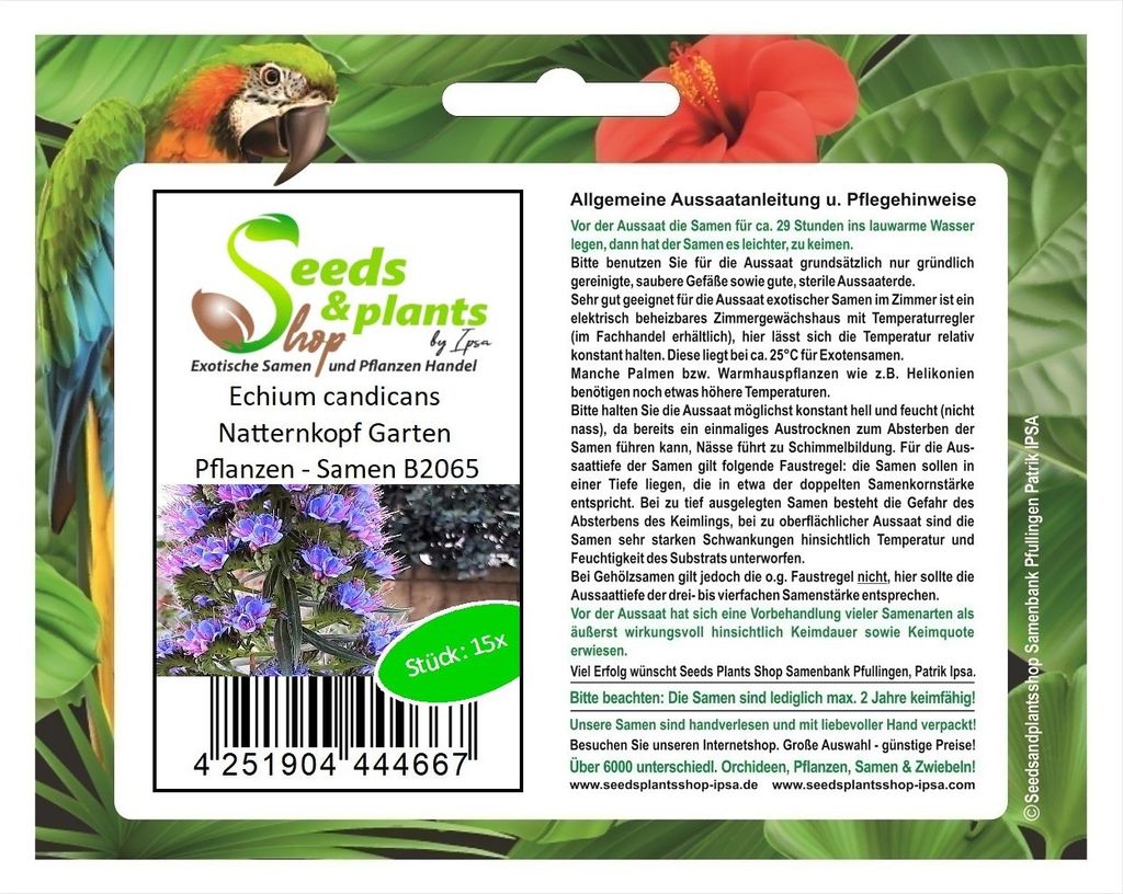 15x Echium candicans Natternkopf Garten Pflanzen - Samen B2065