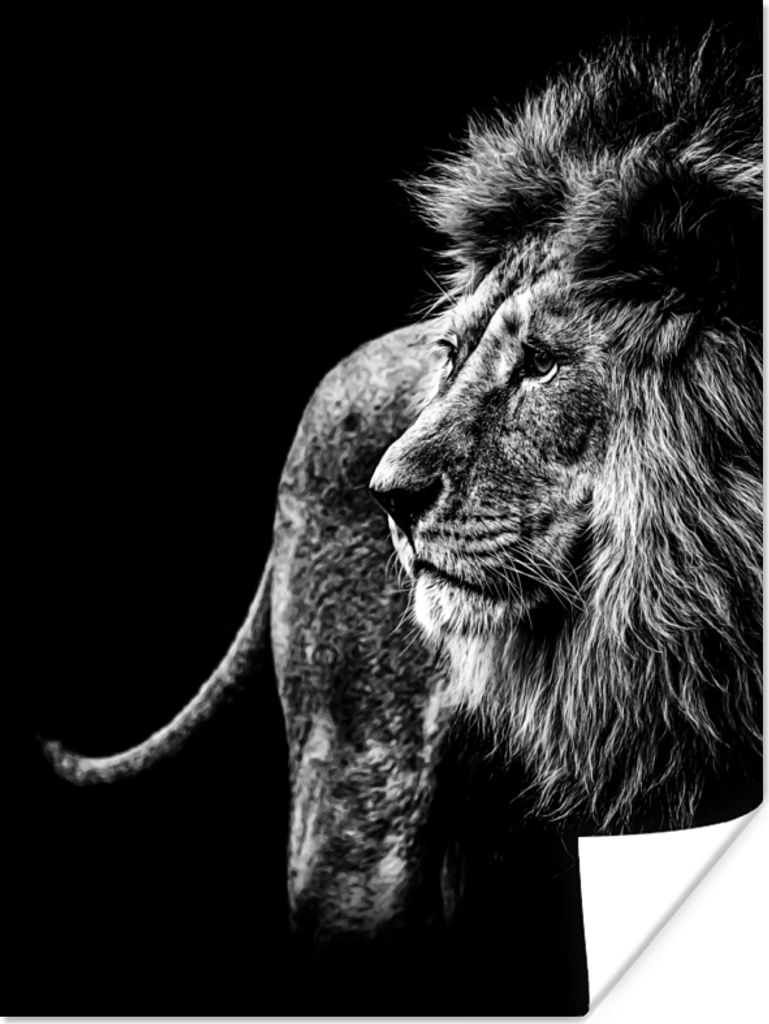 MuchoWow Poster Tiere - Wild - Löwe - Schwarz - Weiß 90x120 cm - Wohnzimmer