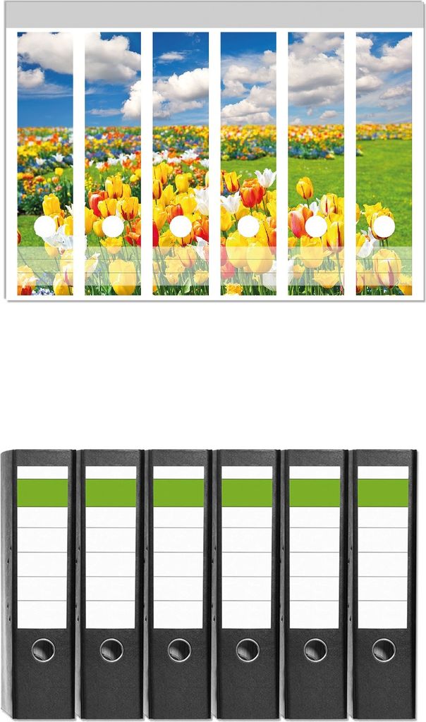 Wallario 6 Stück breite Ordner inkl. Klebeetiketten mit Motive Tulpenwiese unter blauem Himmel - Set mit Rückenschildern / Ordnerrücken Stickern