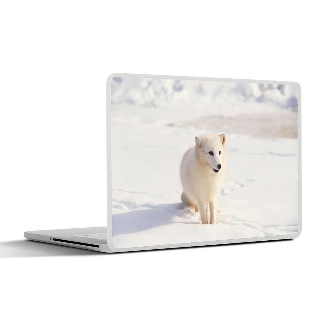 MuchoWow Laptop Aufkleber Sticker Cover Fuchs - Schnee - Weiß 30x22 cm - Laptop-Sticker