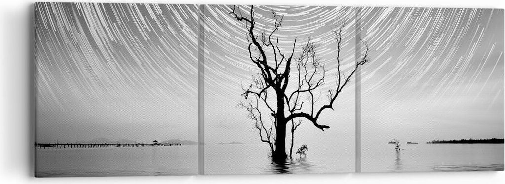 Bild auf Leinwand - Leinwandbild - 3 Teile - Schwarzweiß Baum See - 90x30cm - Wand Bild - Wanddeko - Wandbilder - Leinwanddruck - Bilder - Wanddek...