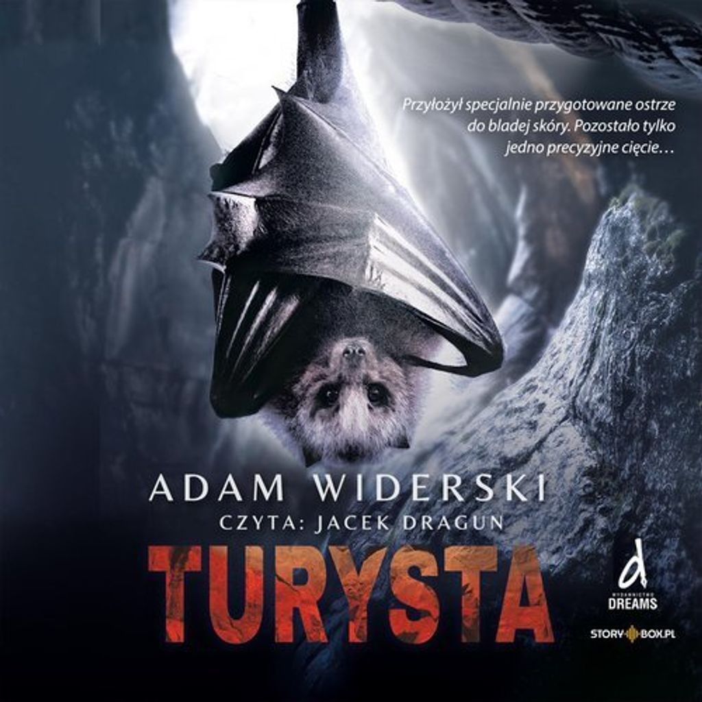 Turysta - Adam Widerski (Literatur auf Polnisch)