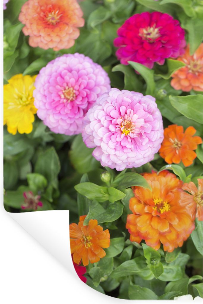 MuchoWow - Sticker - Dekorfolie